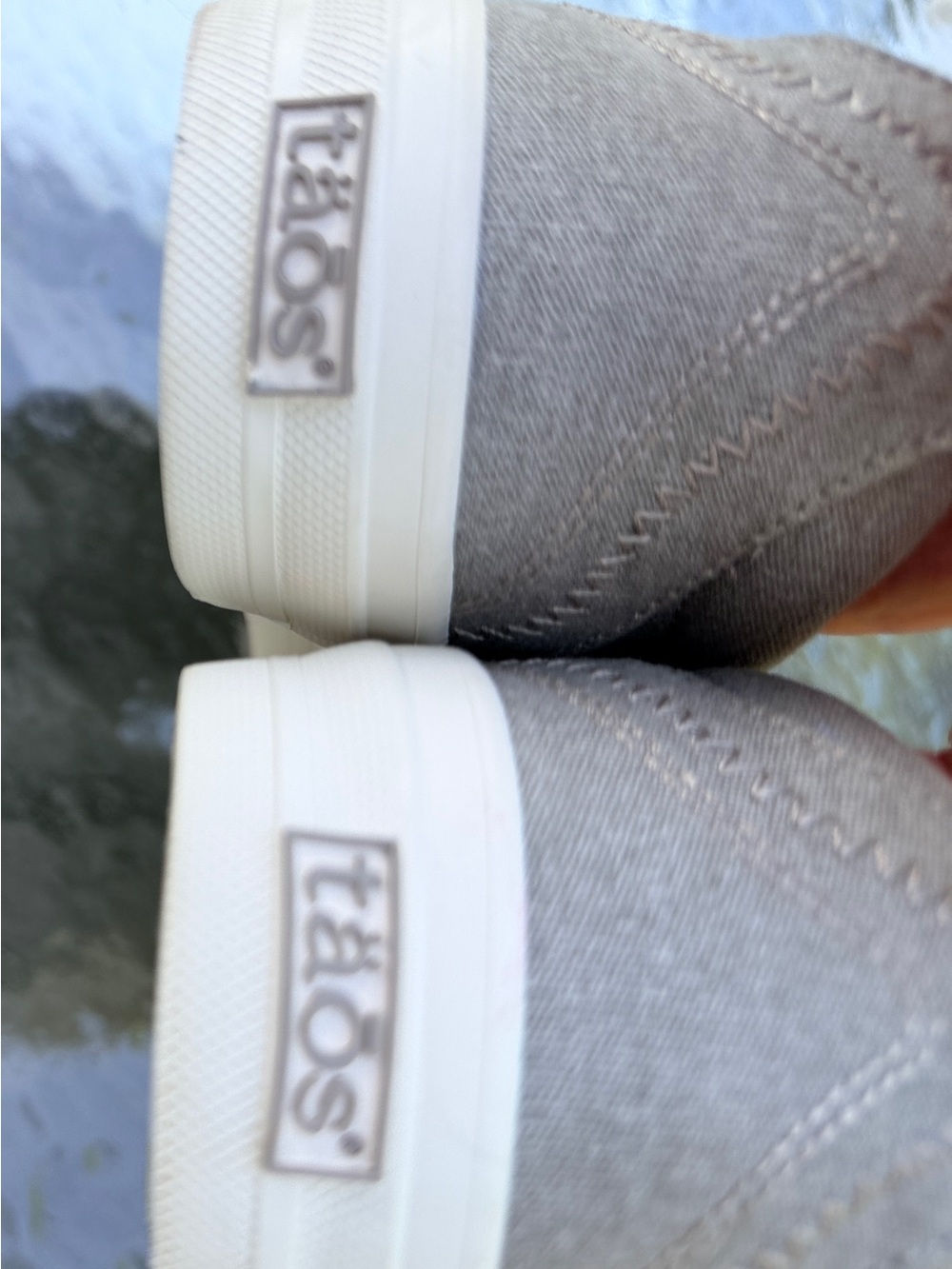 Taos Star Sneaker - Light Grey Canvas Shoe - Picture 3 of 10